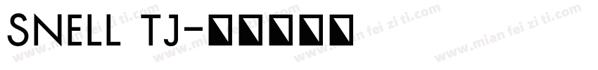 snell tj字体转换
